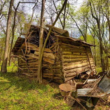 The exterior of Hello Wood's Kabinka cabin
