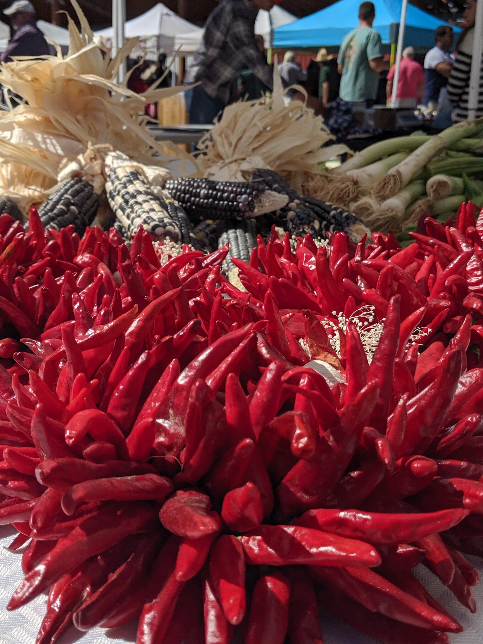Red chiles and purple corn at the Santa Fe Farmers Market