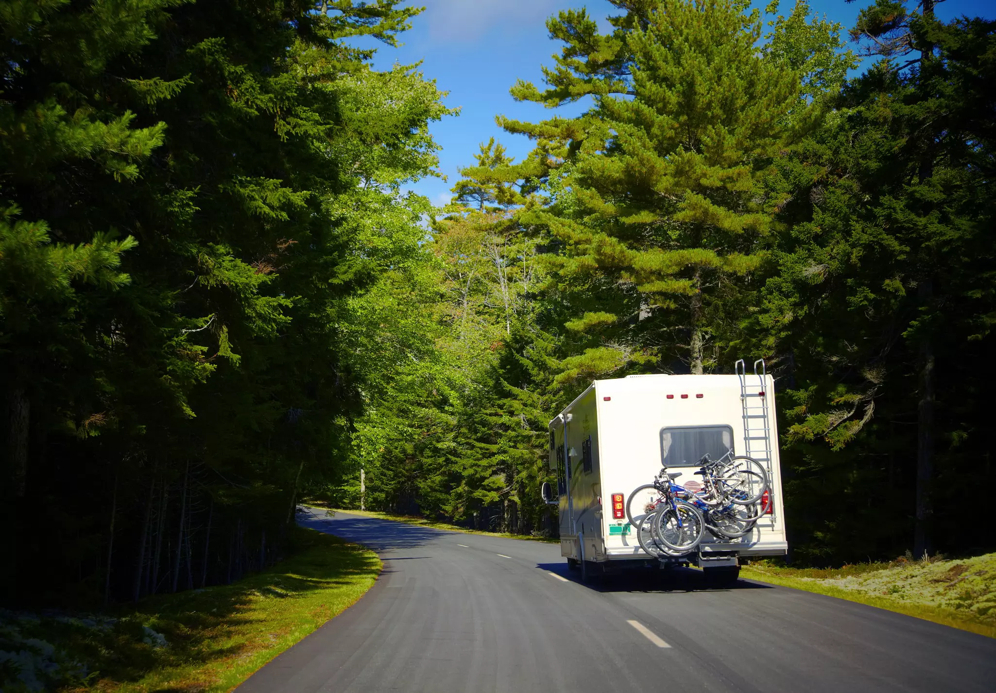 An RV holding bicycles on the back drives on a two-lane blacktop road through a green forested area.