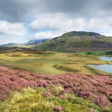 The Cadair Idris mountain range in Snowdonia National Park in Wales
1182915810
arthog, barmouth, dolgellau, cregennan lakes, hills summer