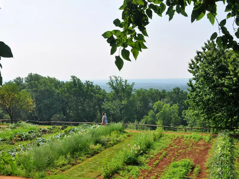 Two women walk through a well-maintained vegetable garden with verdant trees and bushes