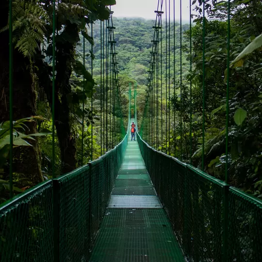 Hanging bridge in Monteverde