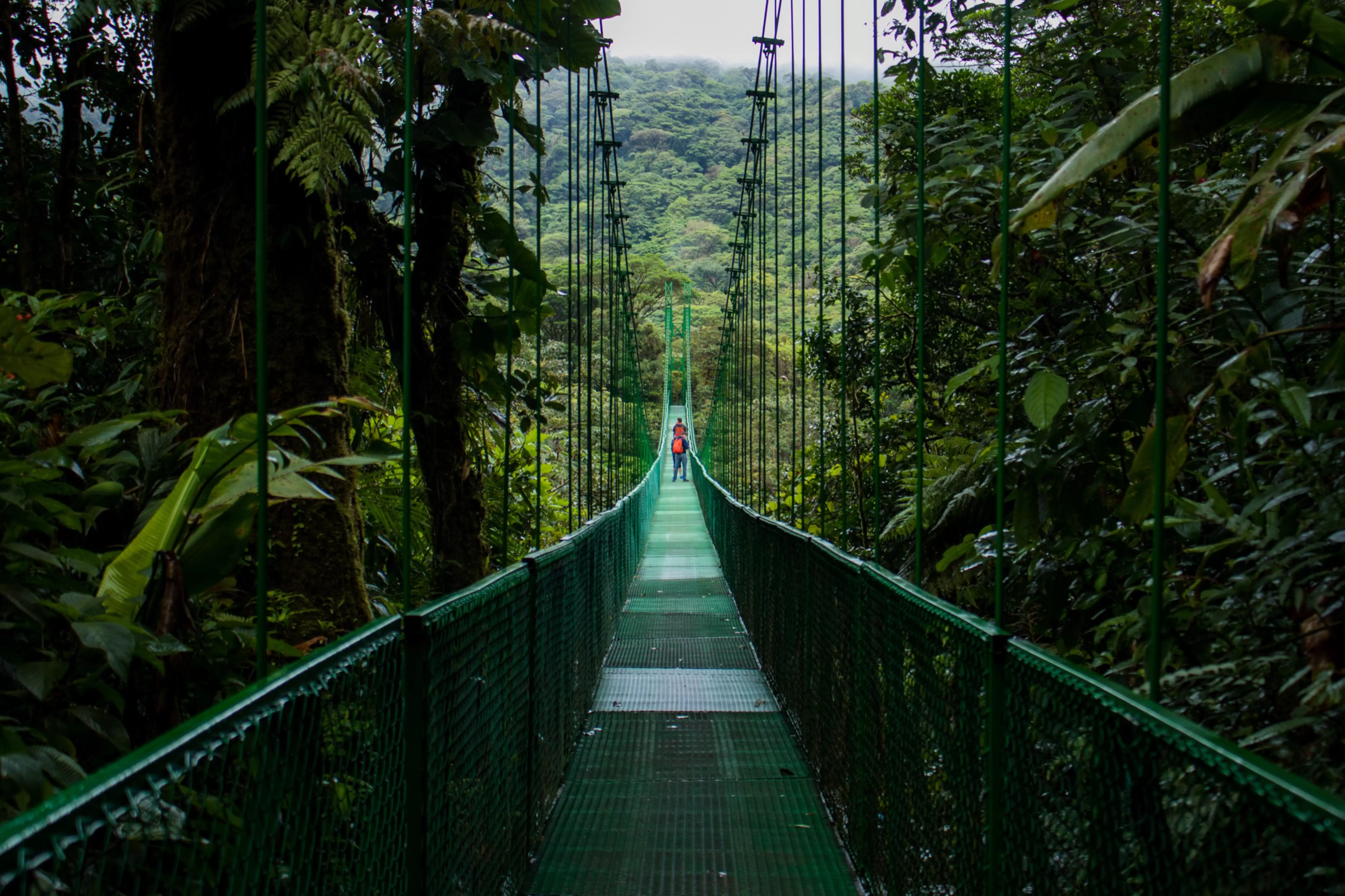Hanging bridge in Monteverde