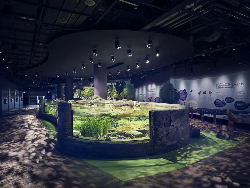 Singapore's Coast. Courtesy of Singapore Oceanarium.