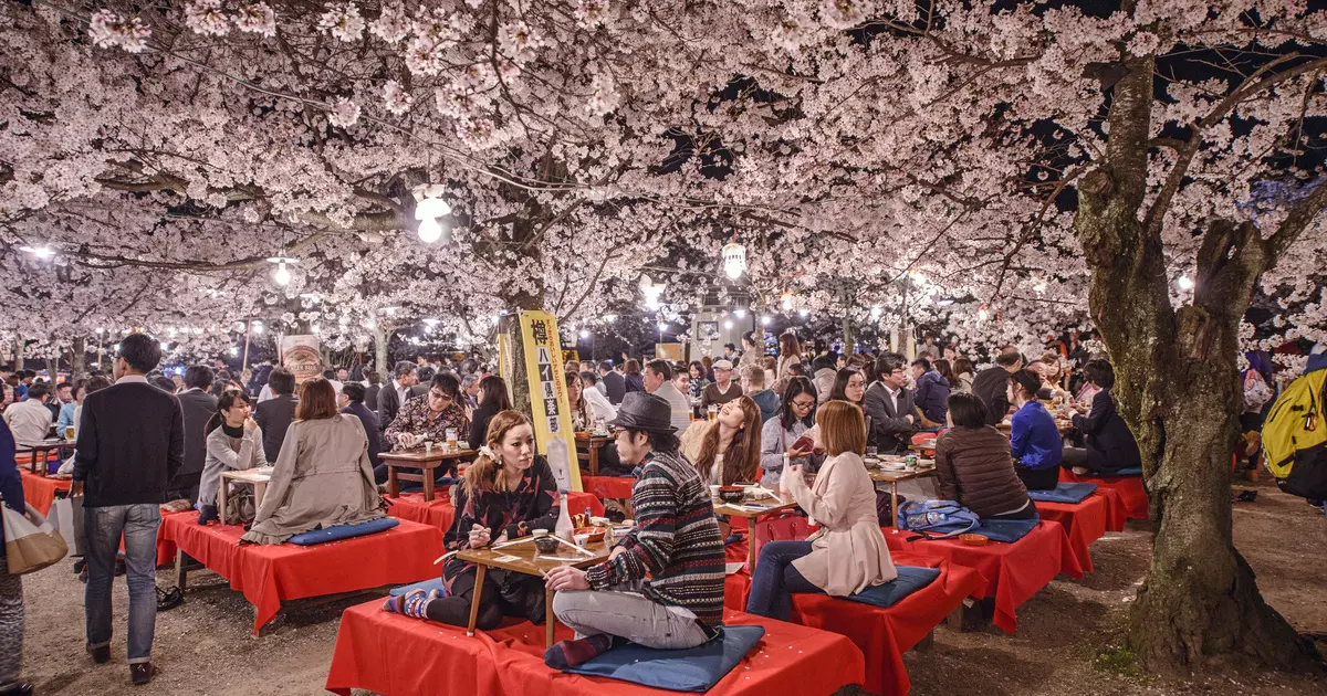 The best time to visit Japan - Lonely Planet