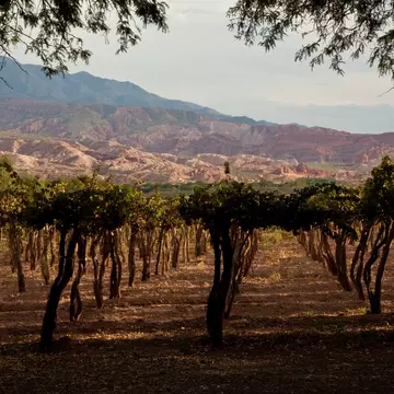 Cafayate, Argentina