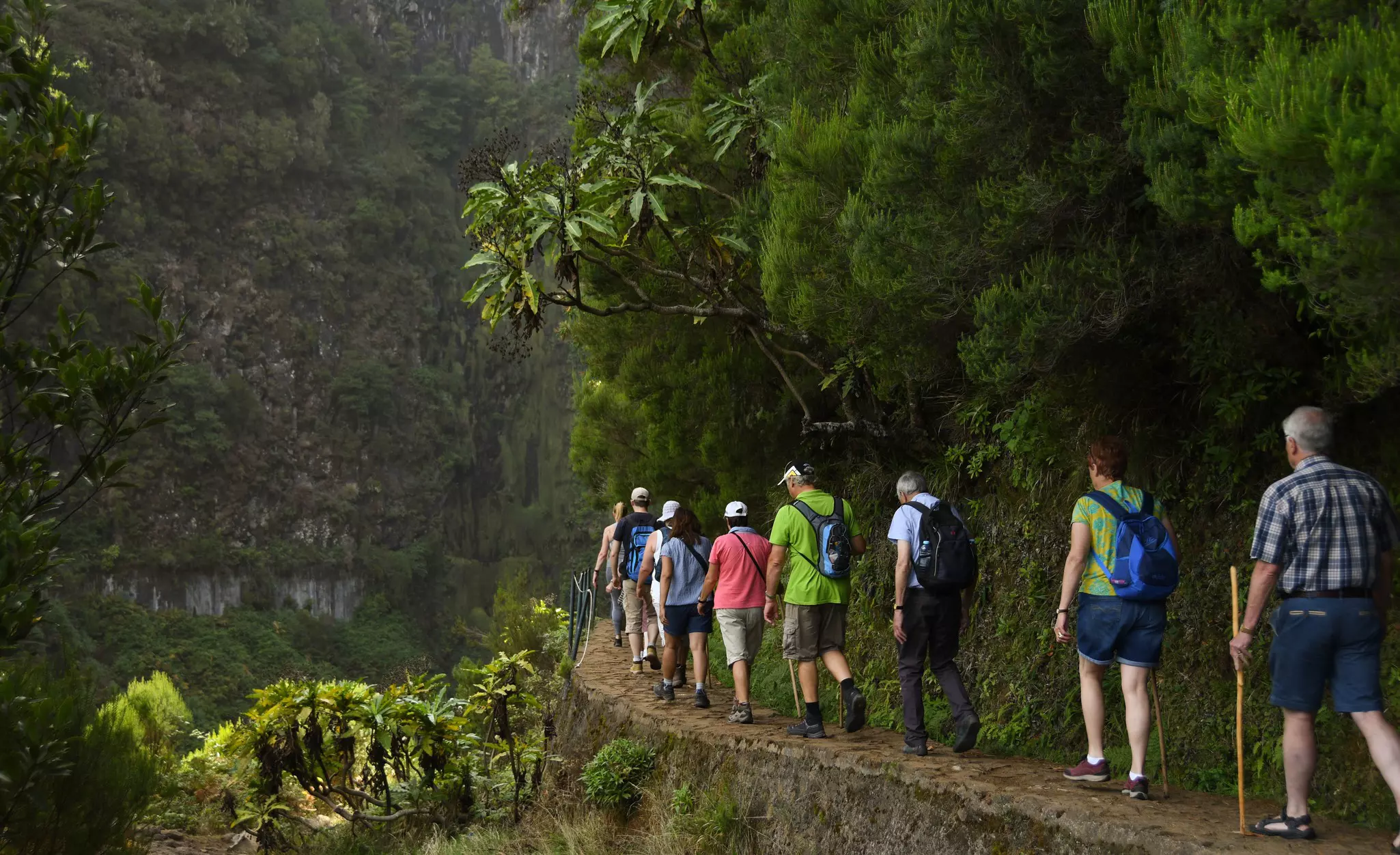 People walk single-file along a narrow stone path through a lush green forest.