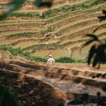 A local farmer working in the terraced rice paddies in the Knuckles National Park in Sri Lanka.