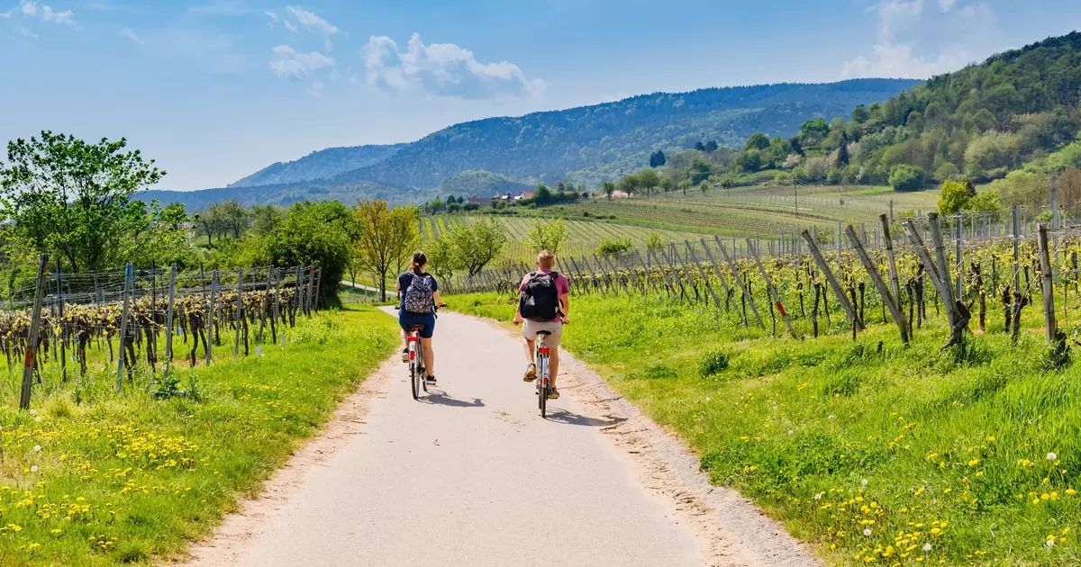 8 of the best cycling routes in Germany - Lonely Planet