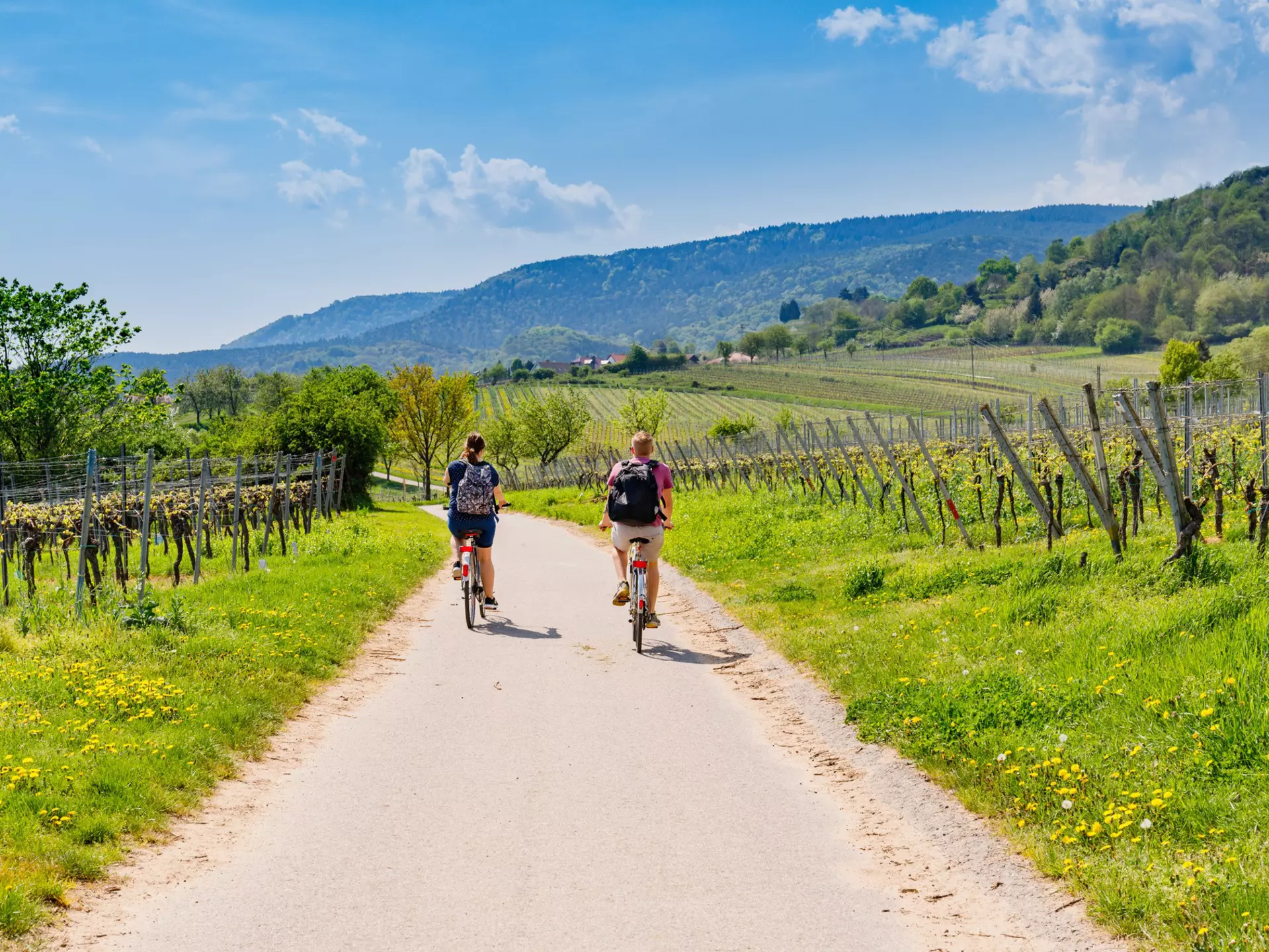 Pick the best biking route for you with our guide to cycling in Germany.