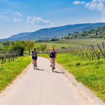 Pick the best biking route for you with our guide to cycling in Germany.