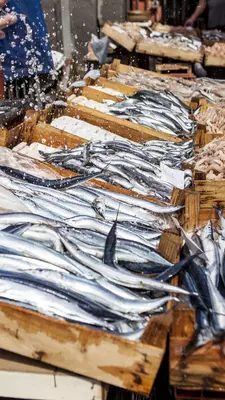 Silvery fish displayed at a market stall in Italy.