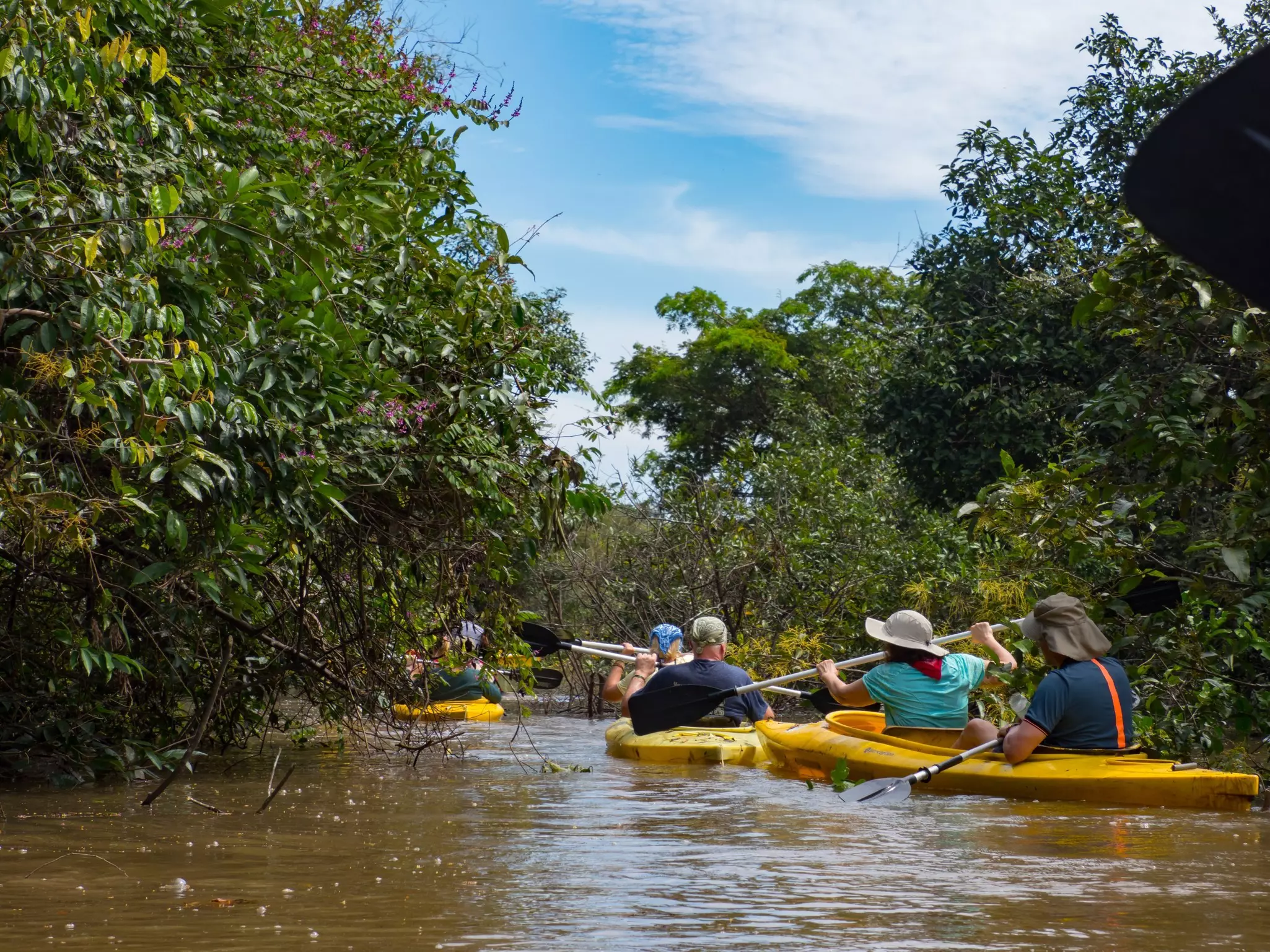 People kayak on a brown river with greenery growing thickly on either side.