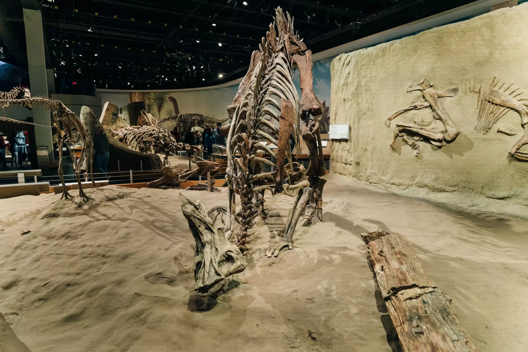 Visitors flock to the dinosaur exhibits at the entrance of the Royal Tyrrell Museum.