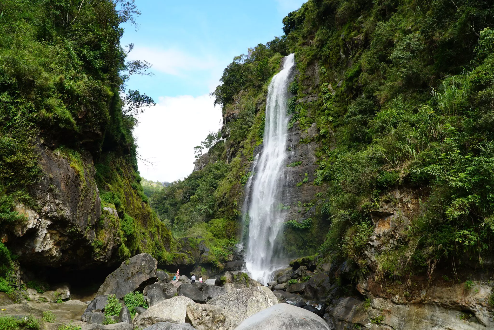 A waterfall in dense jungle cascades down into a pool.