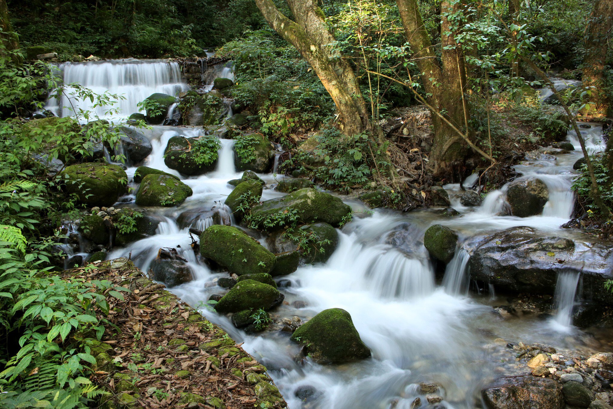 Beautiful waterfall in the Shivapuri Nagarjun National park, on the outskirts of Kathmandu, Nepal.