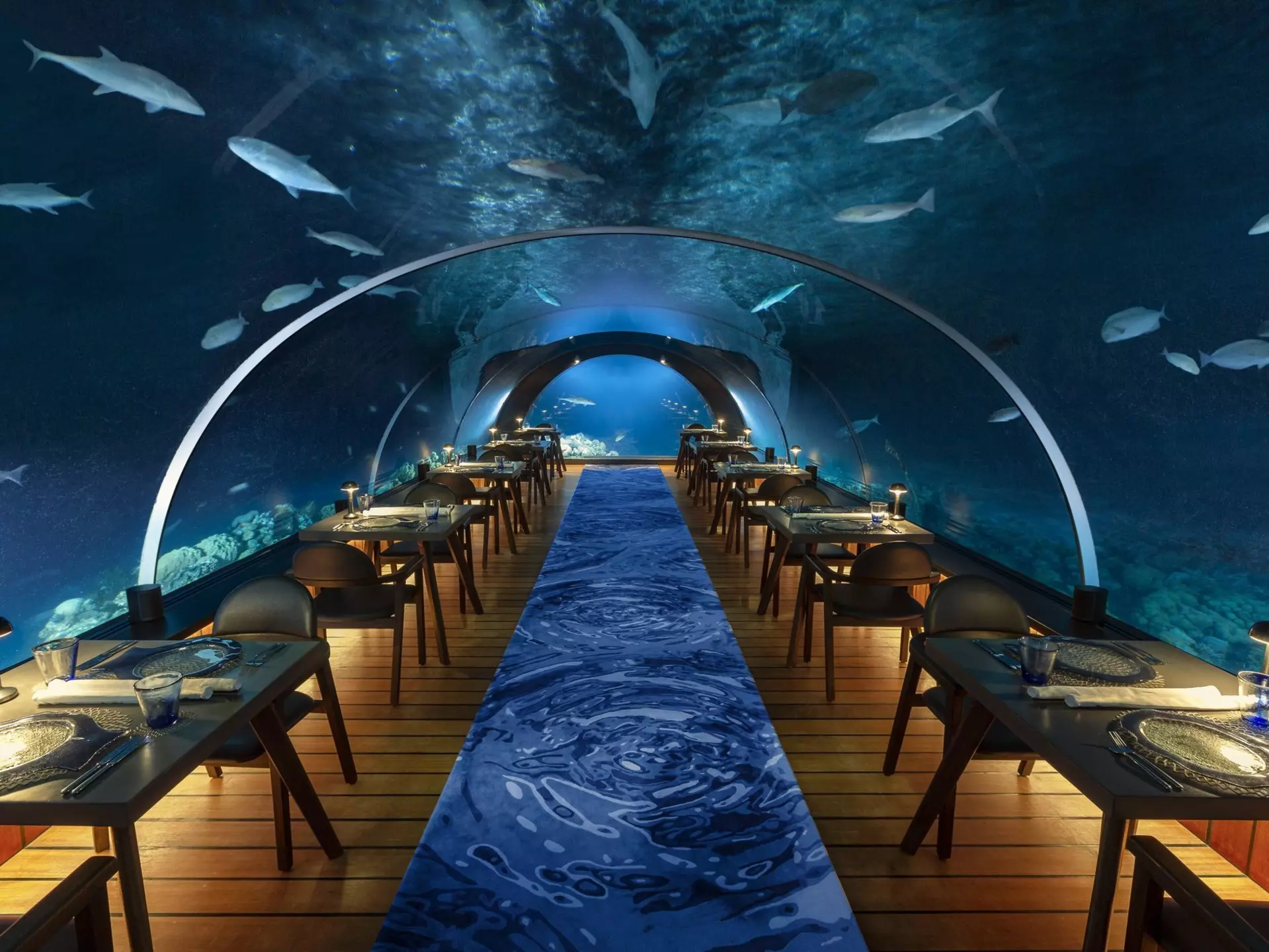 5.8 Undersea Restaurant at Hurawalhi Island Resort, Maldives. Hurawalhi Island Resort

