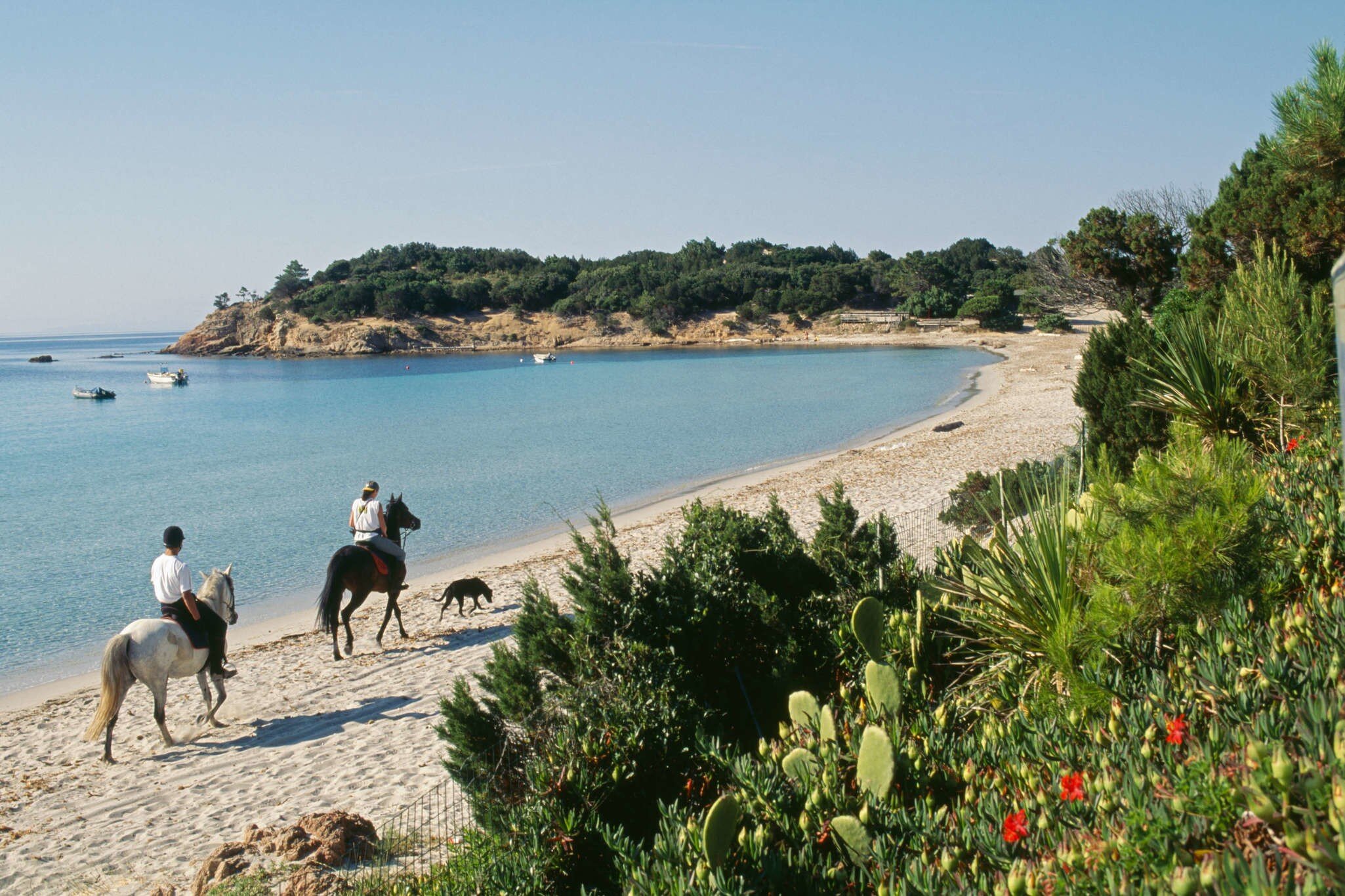 Horse riders on Palombaggia Beach near Porto Vecchio on the island of Corsica, France.