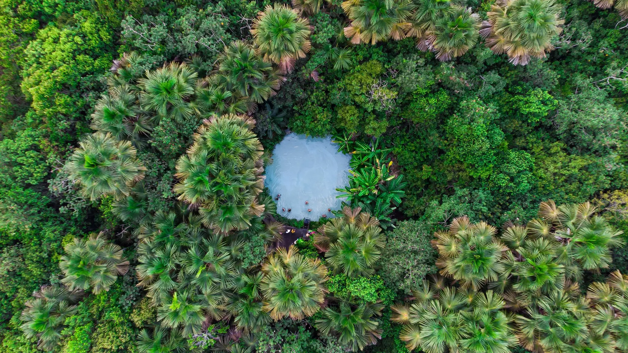An aerial view of a round blue natural pool, with some people around the perimeter, amid a dense, green tropical forest in Brazil.