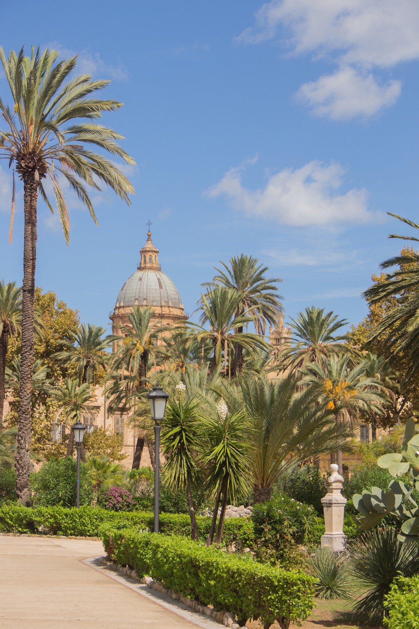 Botanical garden with a view of the Cathedral. Palermo, Sicily, Italy.