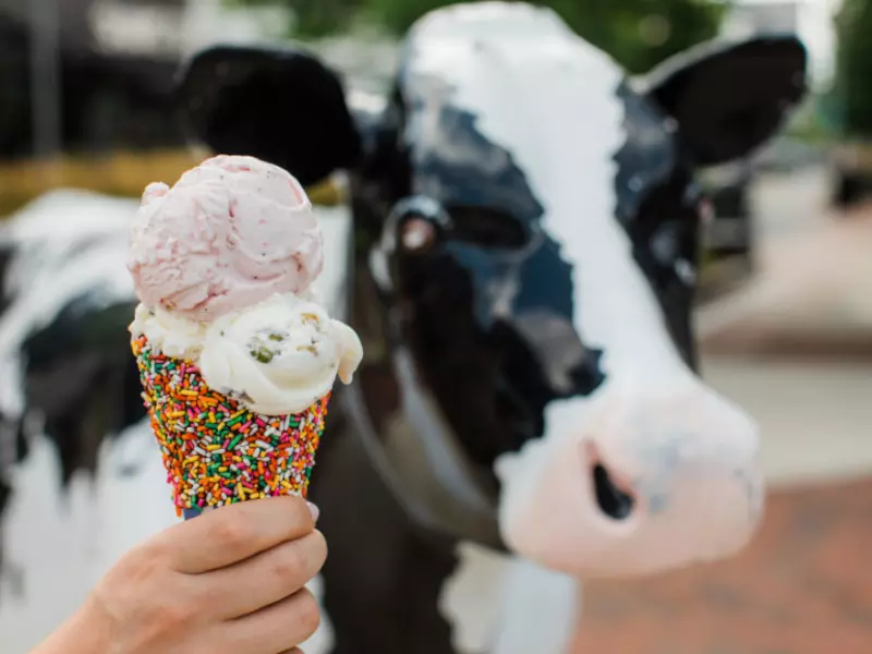 An ice cream cone in front of a cow statue