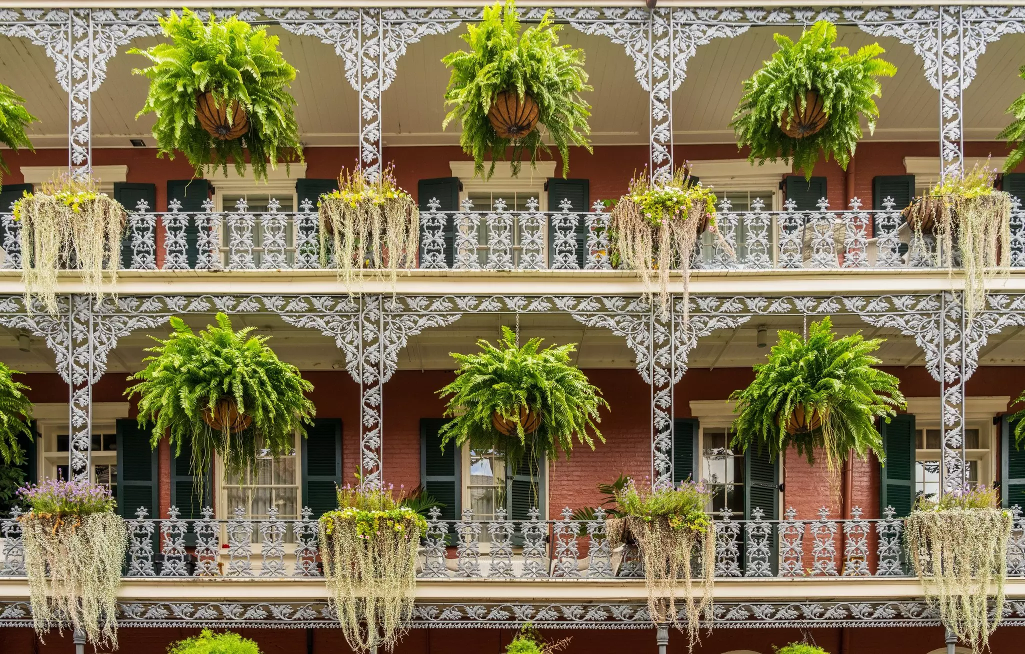 Planted ferns hang from white wrought iron balconies on a historic building.