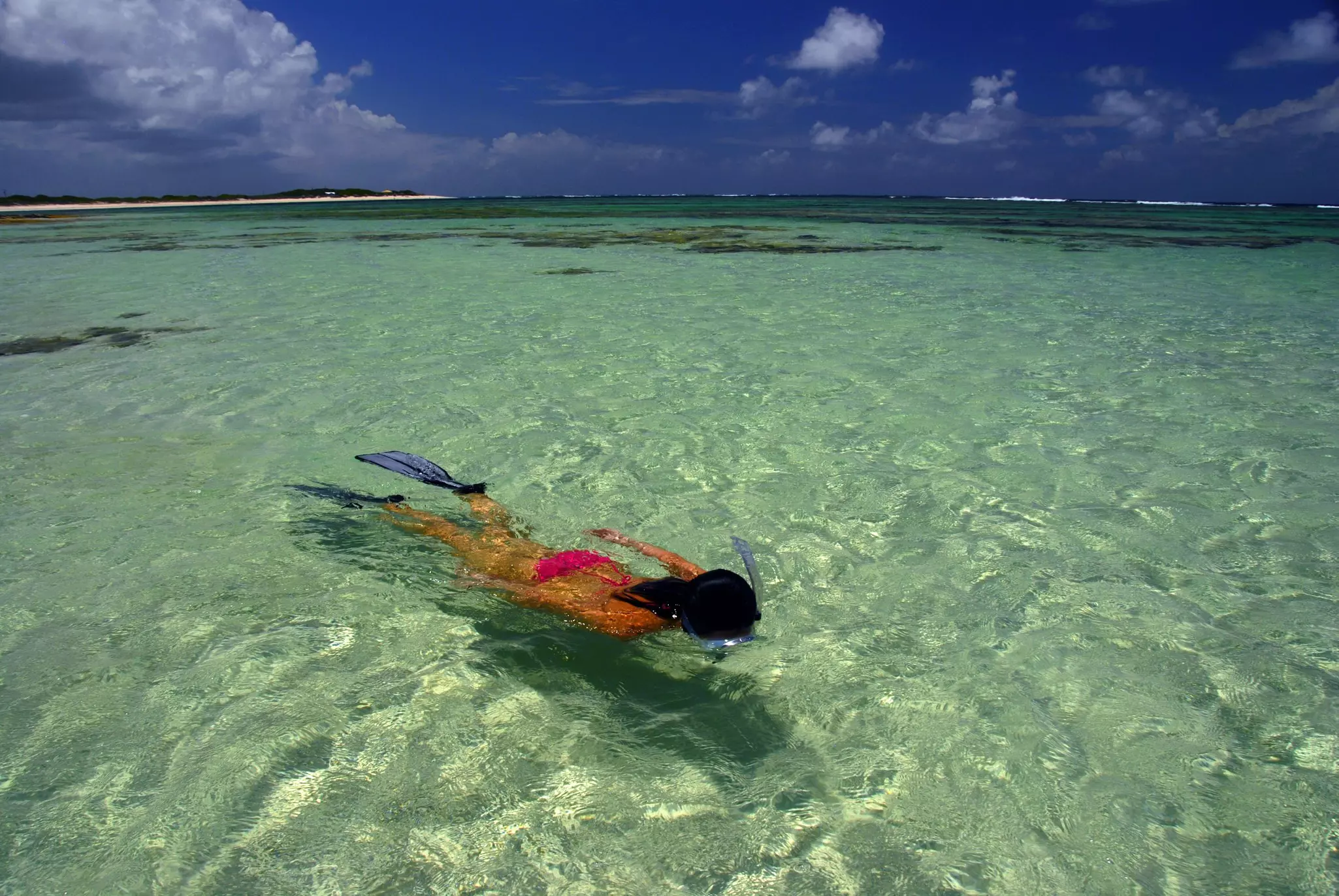 A woman is pictured from above snorkeling in shallow water.