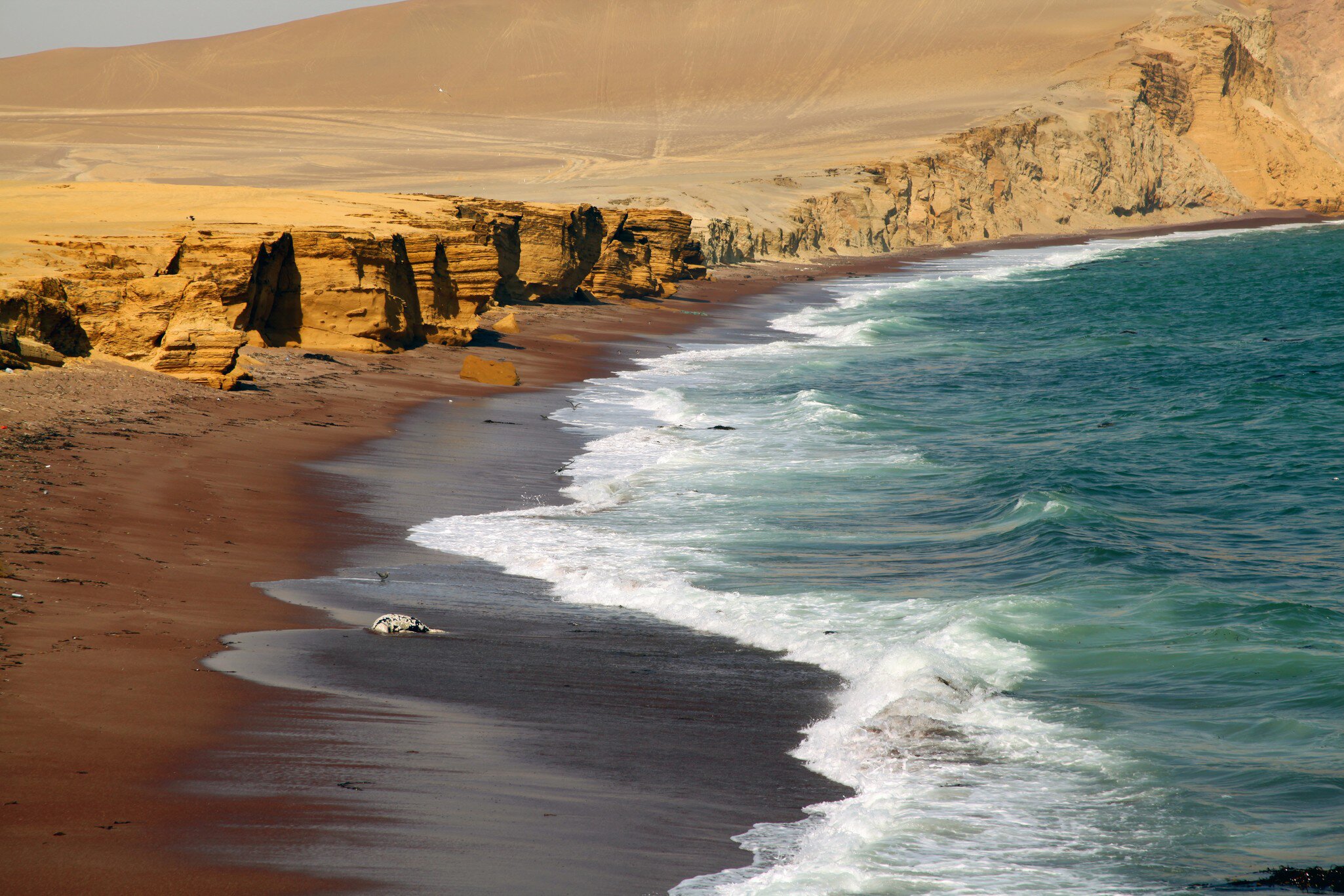 GettyImages-976090672.jpg
Reserva Nacional de Paracas
