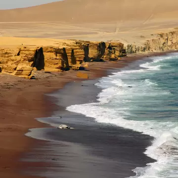 GettyImages-976090672.jpg
Reserva Nacional de Paracas