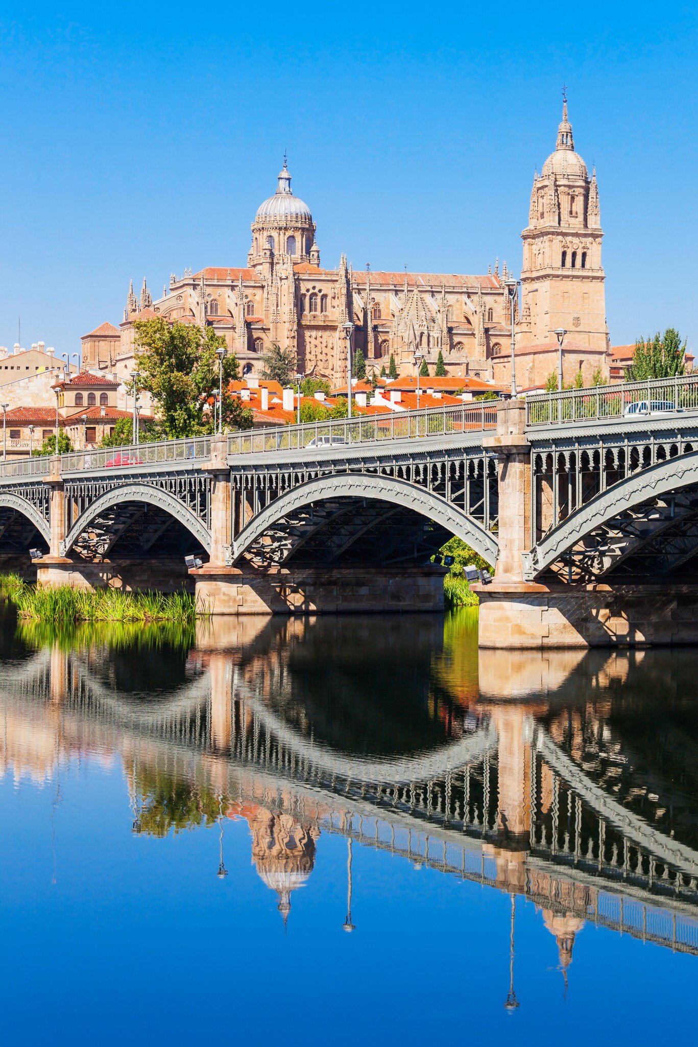 View of the Salamanca Cathedral from across the river in Spain.