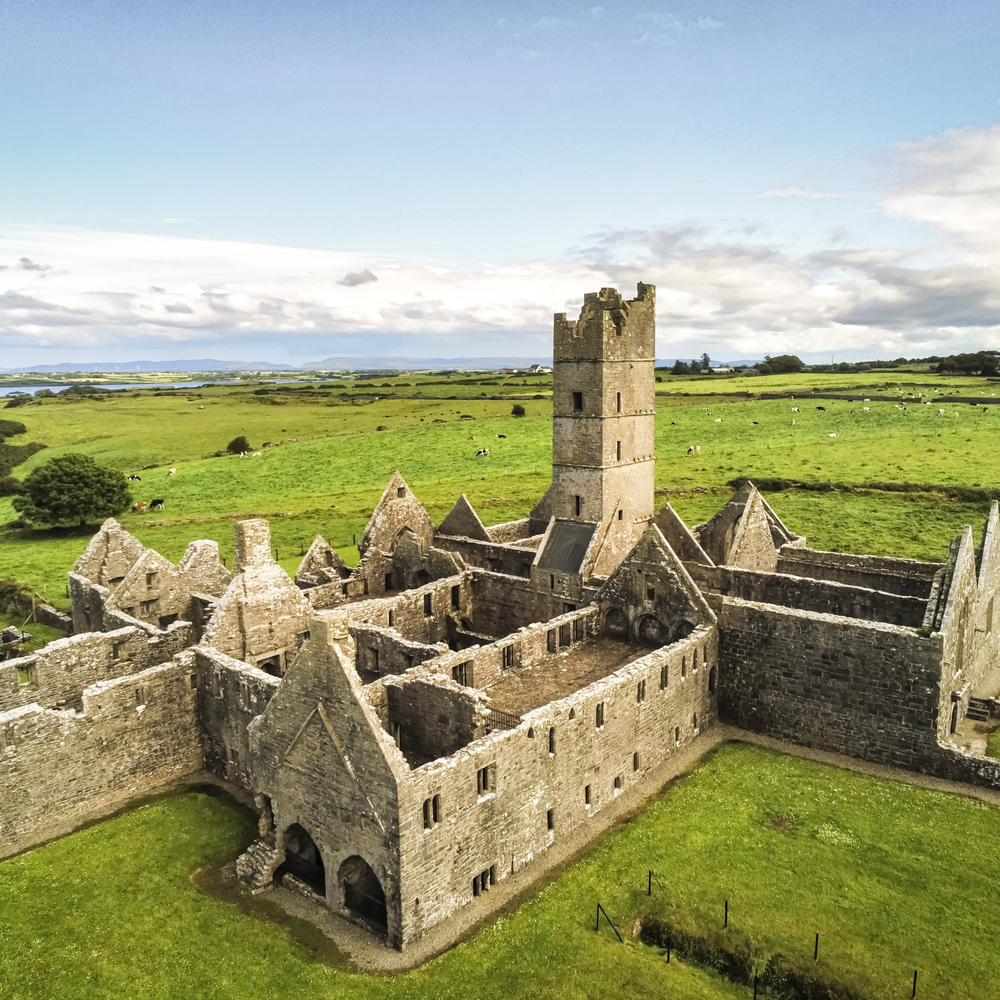 Ruins of Moyne Abbey, Ireland
