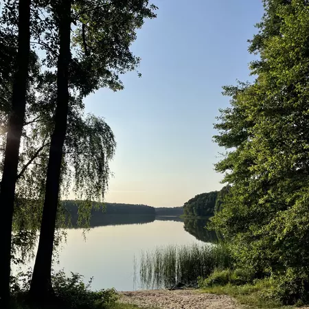 A calm body of water with trees and sand its shore