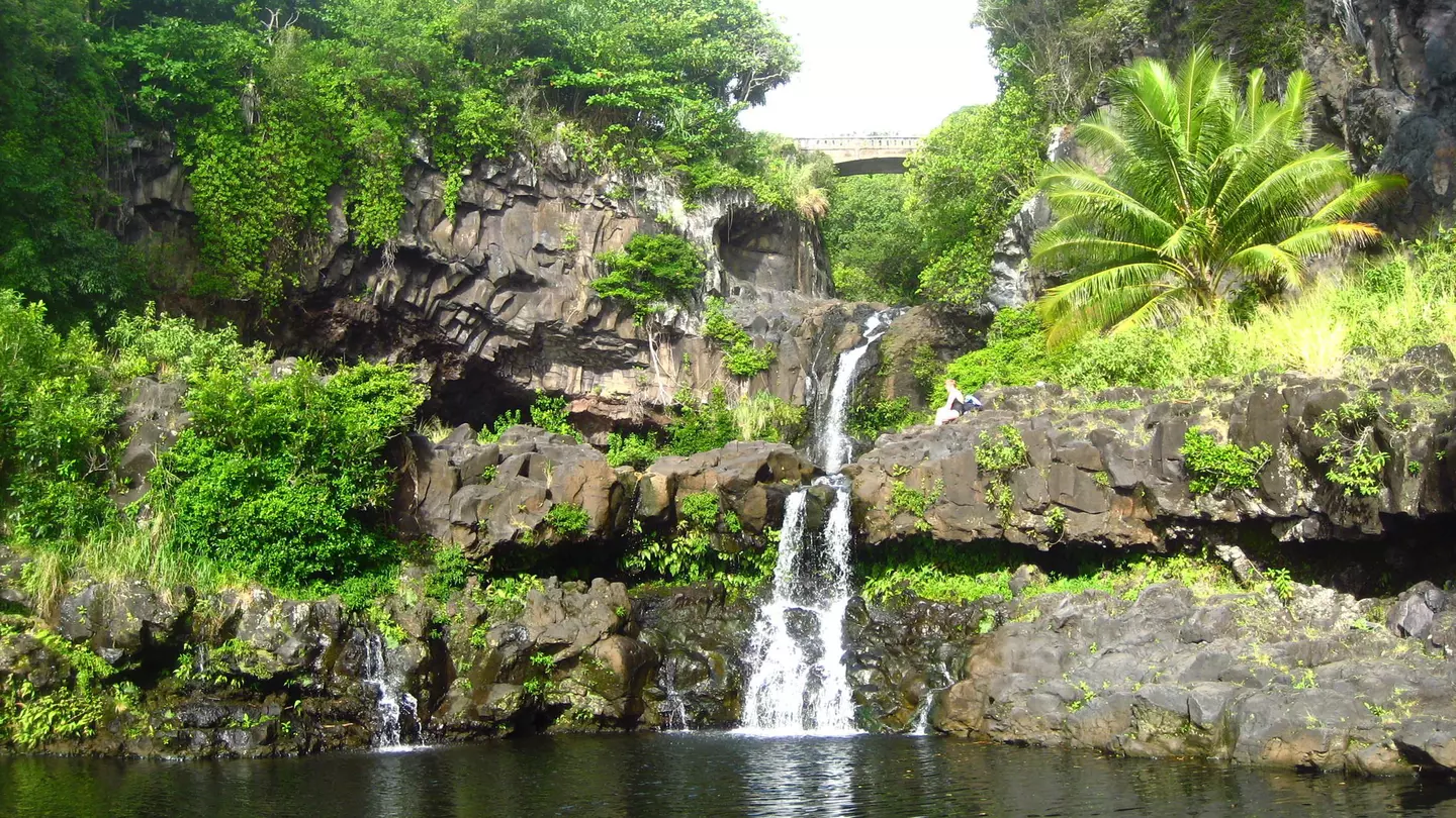 A waterfall and pool surrounded by lush forest at O'heo Gulch, Seven Sacred Pools