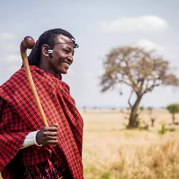 Mikumi, Tanzania - Ocotber 25, 2014: Maasai warrior in Mikumi National Park, Tanzania, assisting tourists in one of the camps on a normal day.