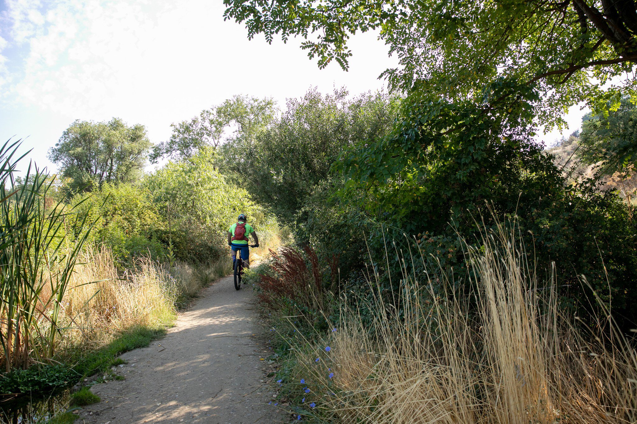 Camel's Back Park