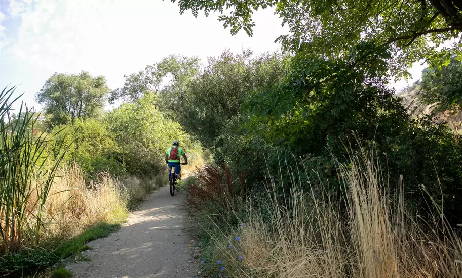 Camel's Back Park
