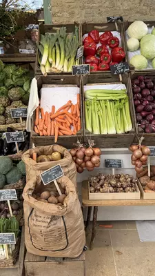 Boxes of broccoli, carrots, onions, celery, red peppers and other produce in front of a store.