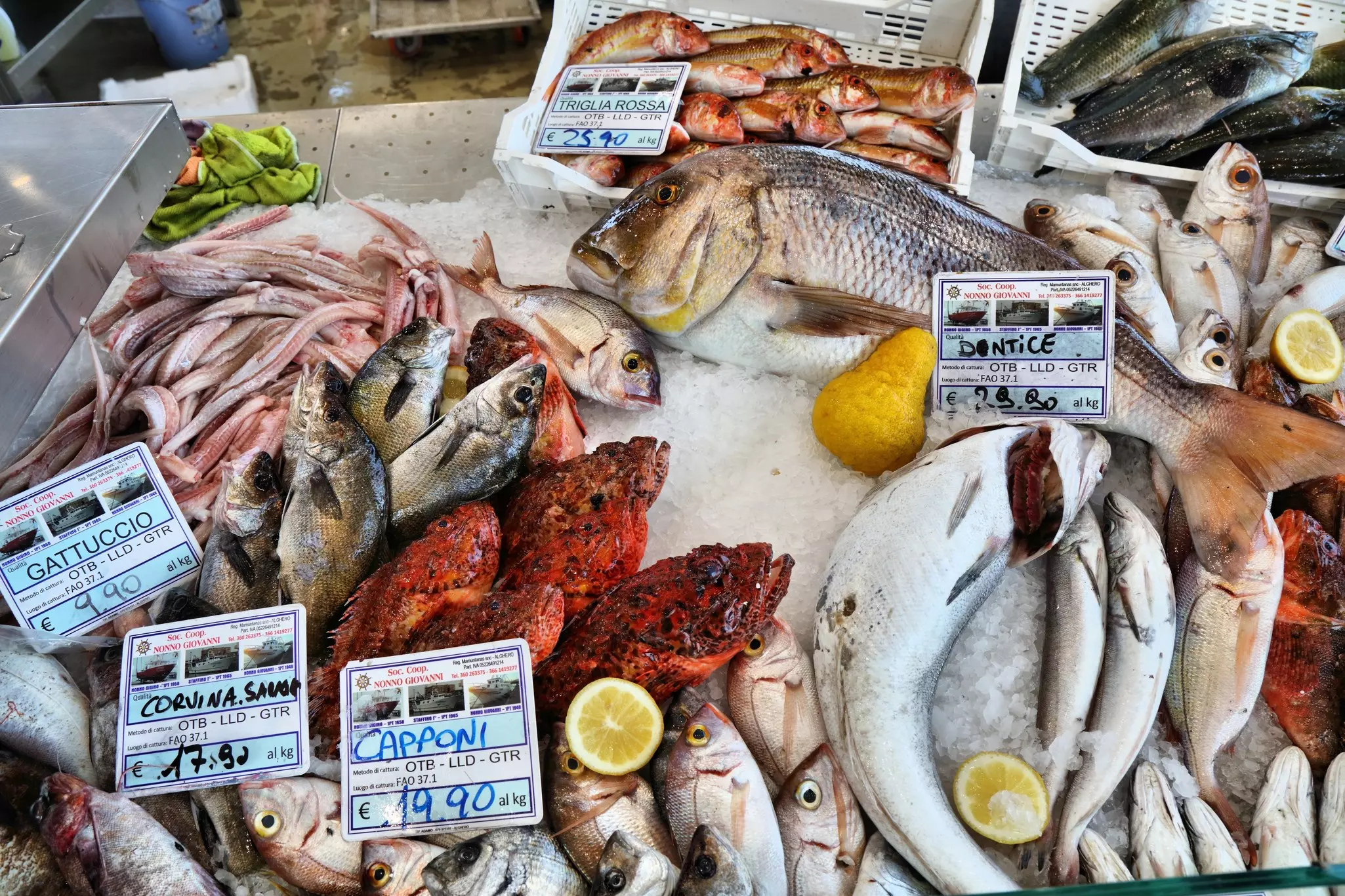 ALGHERO, ITALY - MAY 29, 2023: Various fish at local fish market in Alghero town, Sardinia island, Italy.