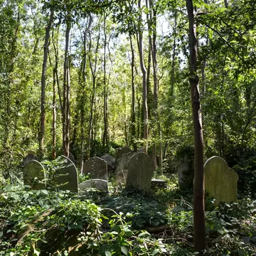 Gravestones surrounded by greenery at Highgate Cemetery in London, UK.