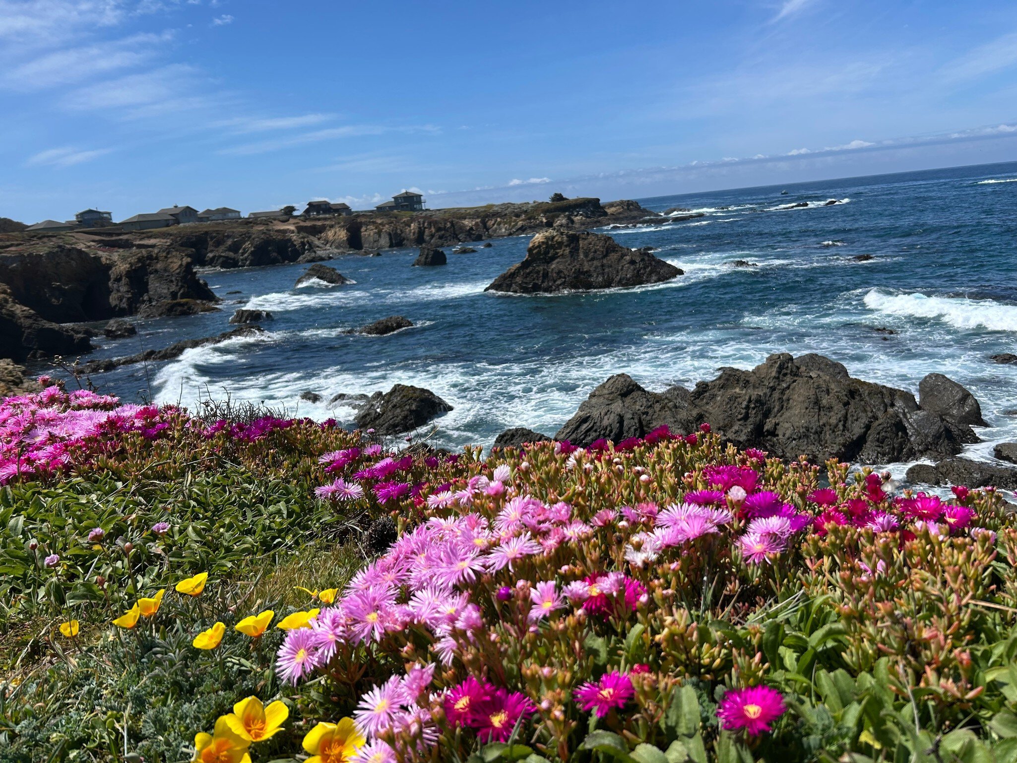 The Mendocino Coast Botanical Garden in Northern California.