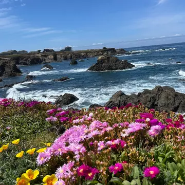 The Mendocino Coast Botanical Garden in Northern California.