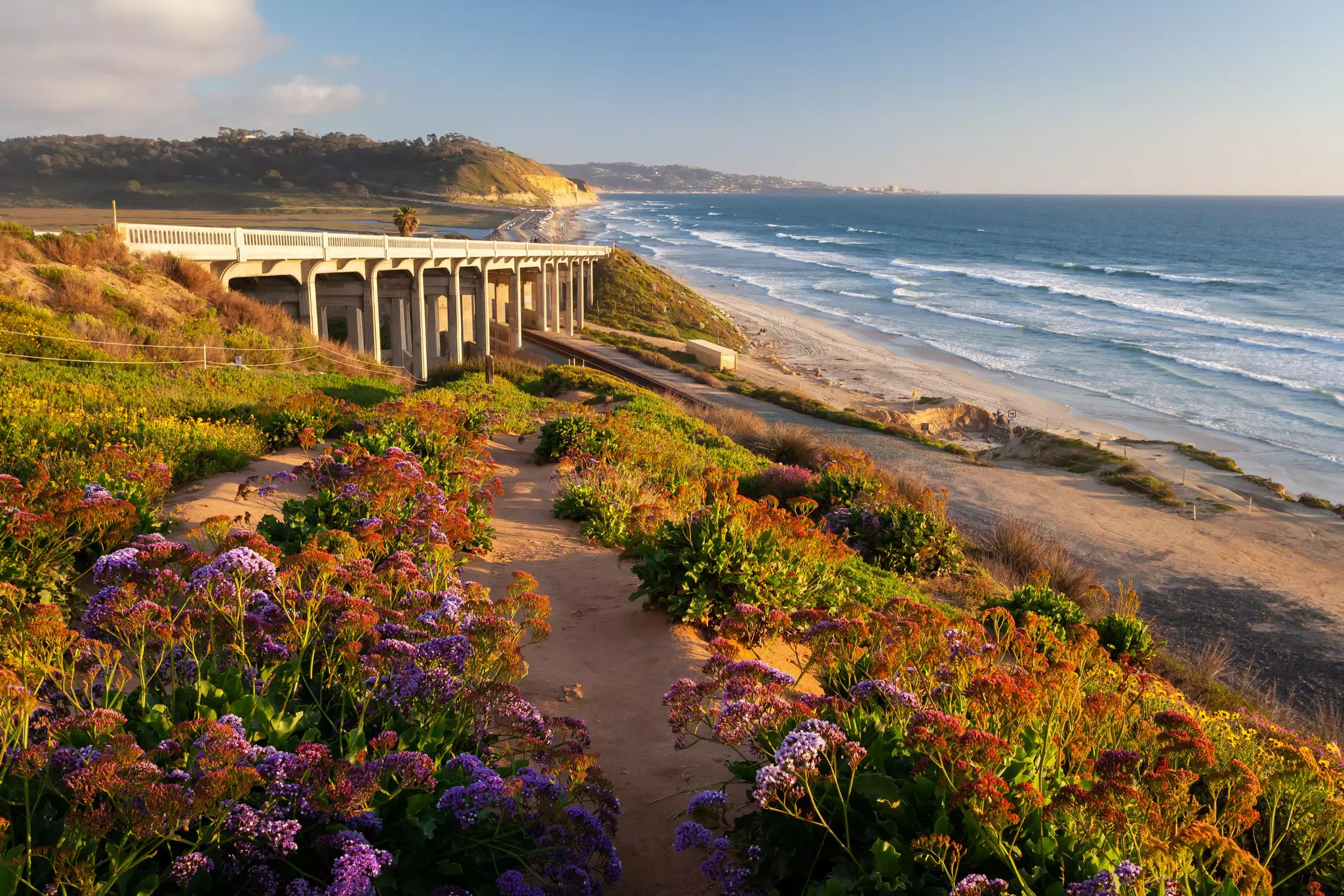 A sandy path leads through spring flowers down to a beach.