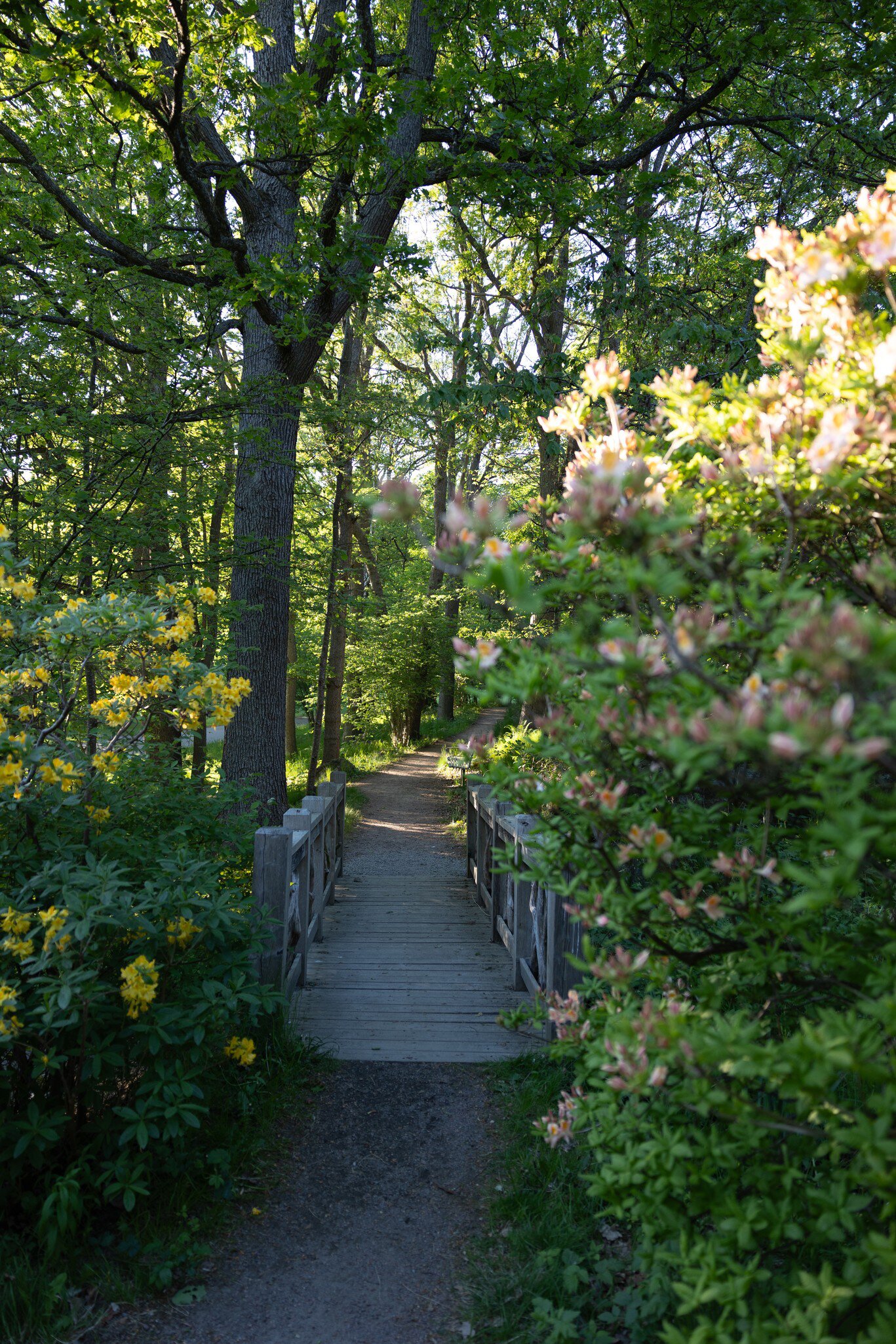 Slottsskogen park in Göteborg, Sweden
Courtesy of Göteborg & Co.