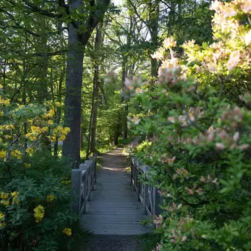 Slottsskogen park in Göteborg, Sweden
Courtesy of Göteborg & Co.