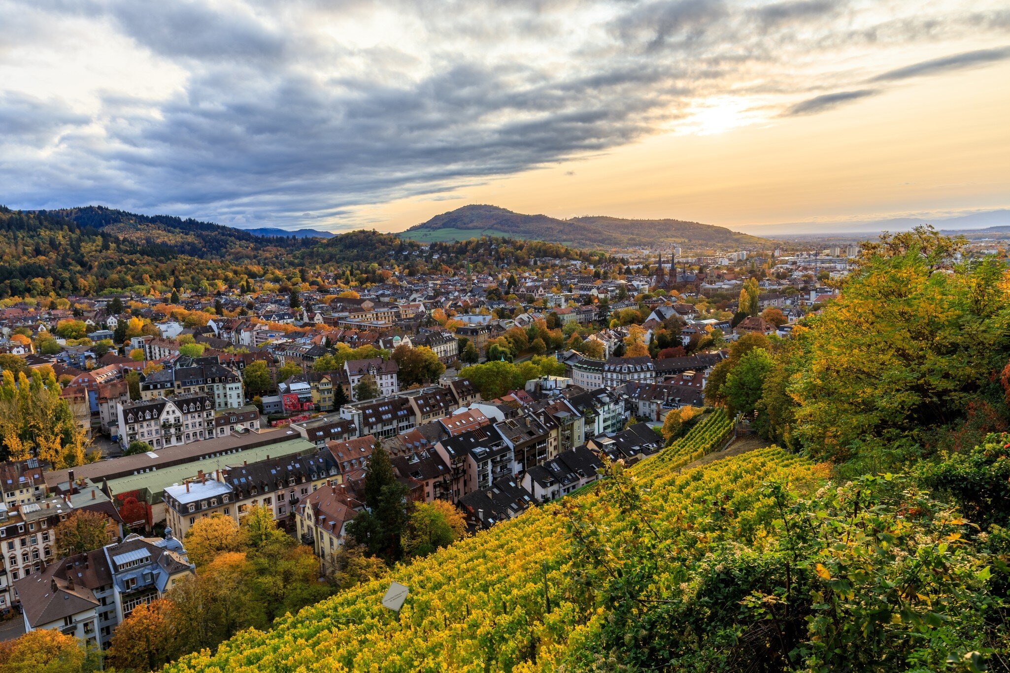 View from the Schlossberg castle hill overlook onto the city of Freiburg, Germany.