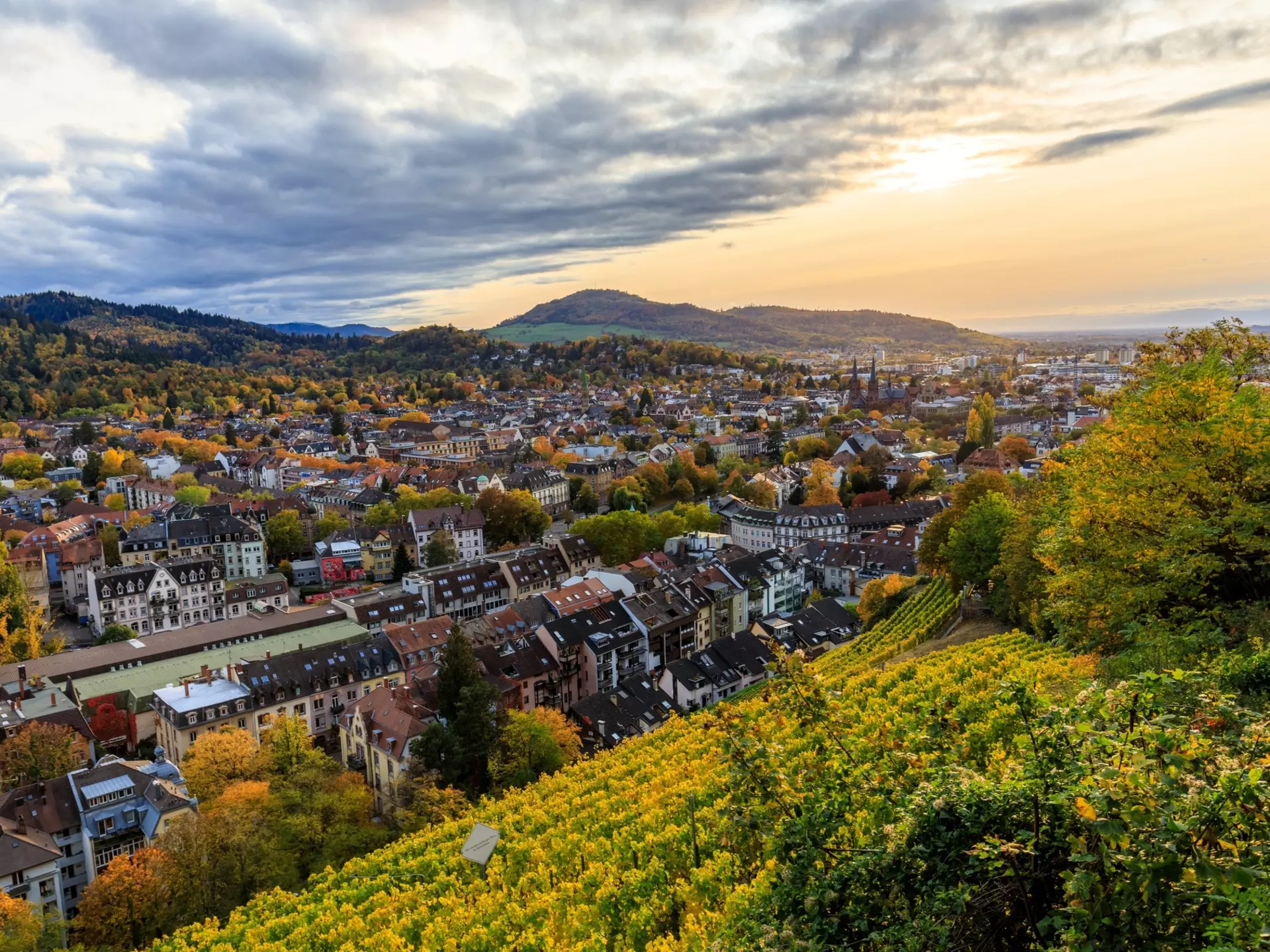 View from the Schlossberg over Freiburg. German Globetrotter/Shutterstock