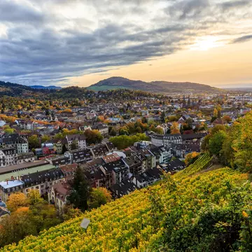 View from the Schlossberg over Freiburg. German Globetrotter/Shutterstock