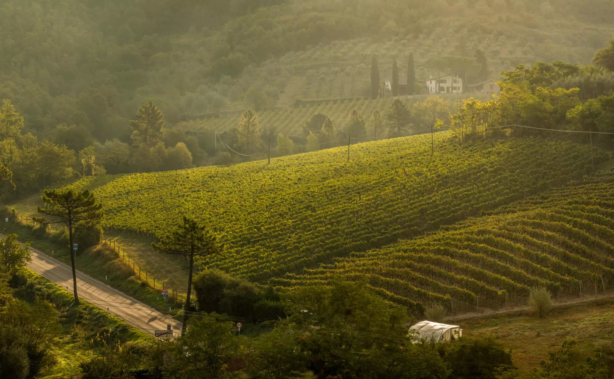 Tuscany is famous for its vineyards, truffles and fine produce © Jan Malkovsky / Alamy Stock Photo