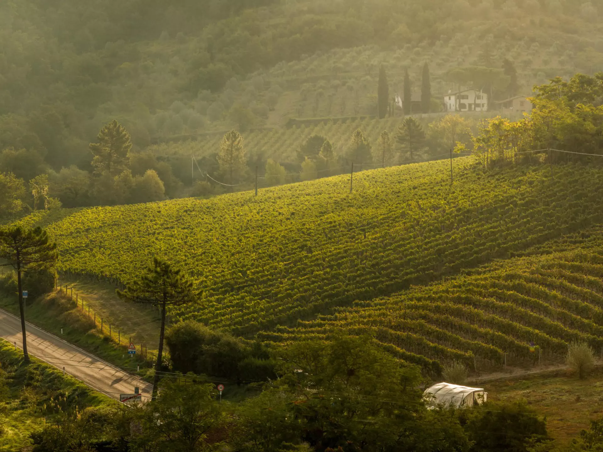 Tuscany is famous for its vineyards, truffles and fine produce © Jan Malkovsky / Alamy Stock Photo