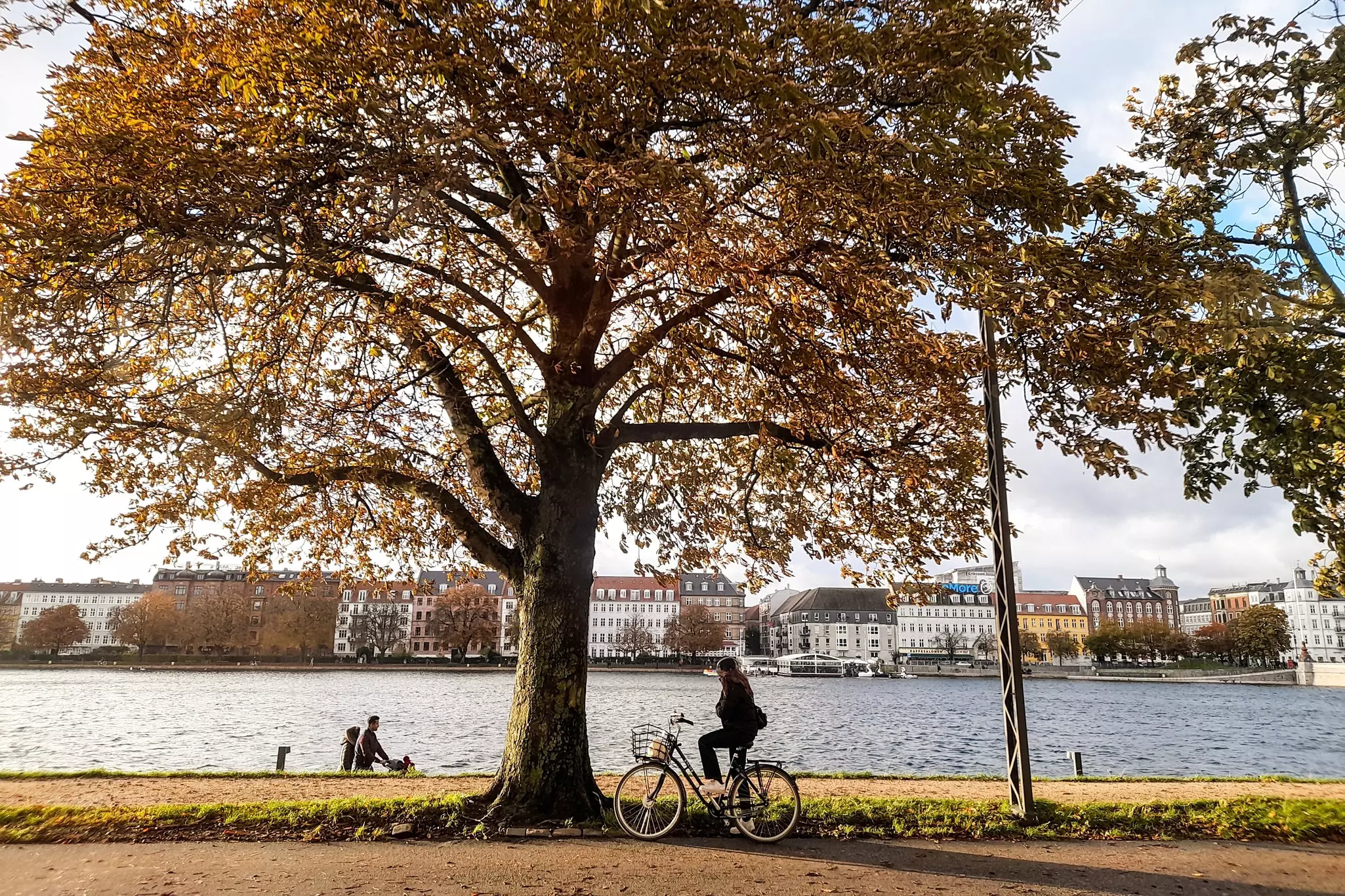 Copenhagen in autumn. Giannis Papanikos/Shutterstock
